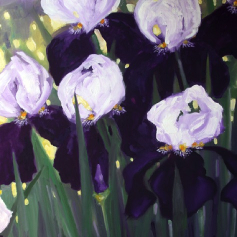 Iris at Dawn
Oil 18x24